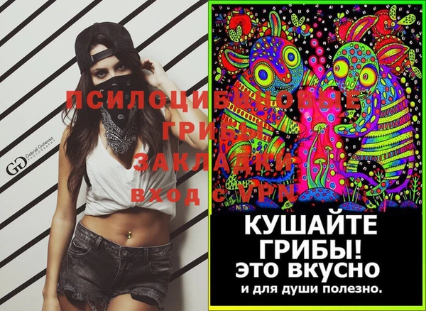ешки Алексеевка