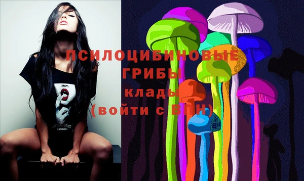 ешки Алексеевка