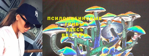 ешки Алексеевка