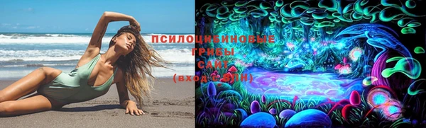 ешки Алексеевка