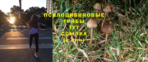 ешки Алексеевка