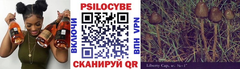 Псилоцибиновые грибы GOLDEN TEACHER  продажа наркотиков  Палласовка 