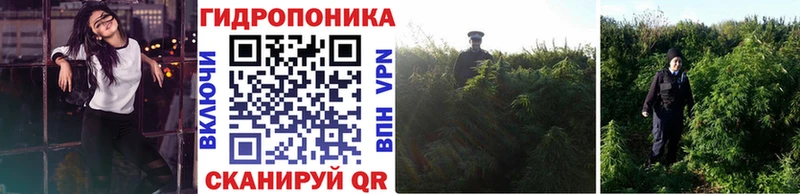 shop наркотические препараты  Палласовка  МАРИХУАНА Bruce Banner 